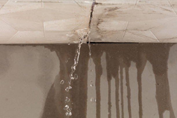Professional Structural Drying technician working in Katy, TX